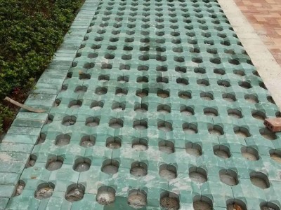 植草砖 园林小区景观绿化草坪砖图5