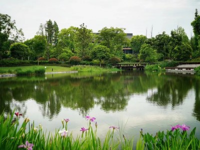 生态水处理技术图2
