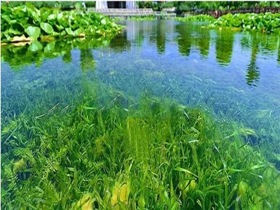 生态水处理技术图5