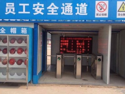 翼闸摆闸三辊闸工地实名制门禁系统刷卡人脸识别闸机图2