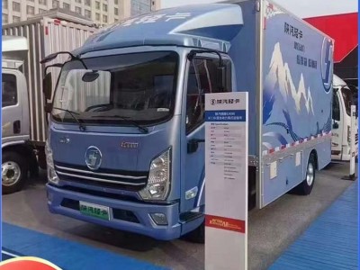 运城陕汽轻卡新能源E6箱货栏板高栏81度电图2