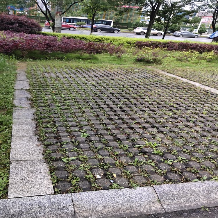 绿化植草砖水泥嵌草砖公园 道路 停