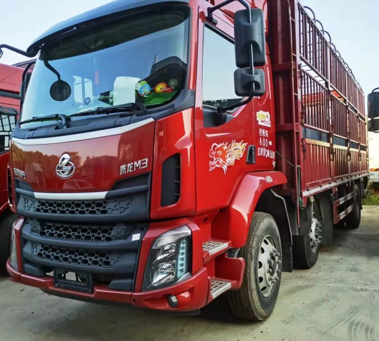 国进泰 乘龙M3载货车 前四后四 7.8米高栏车 手续齐全图3