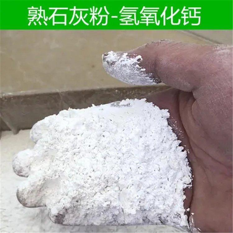 脱硫脱硝氢氧化钙 消石灰 细度325目