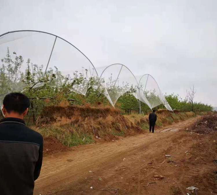 恒帆丝网 苹果防雹网 经编多丝防冰